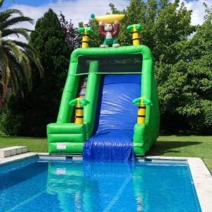tobogan mono piscina